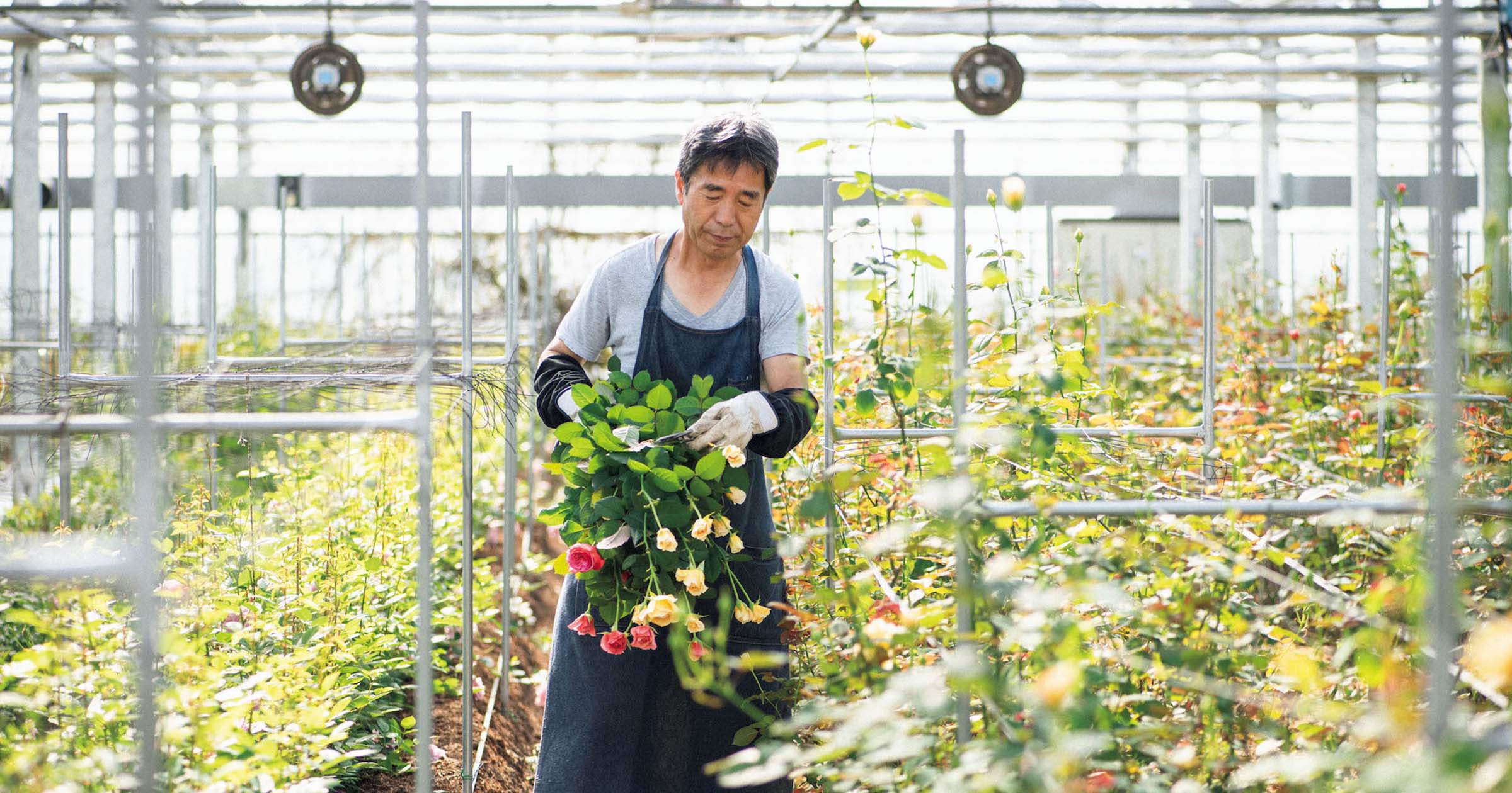 新鮮な花束を産地直送で。オンラインで買える花農家を訪ねて