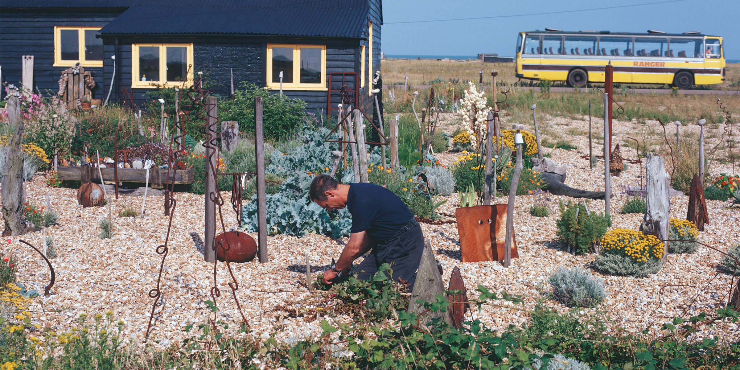 映像作家デレク・ジャーマンの咲き続ける庭〈プロスペクト・コテージ