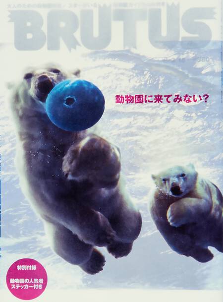 動物園に来てみない？