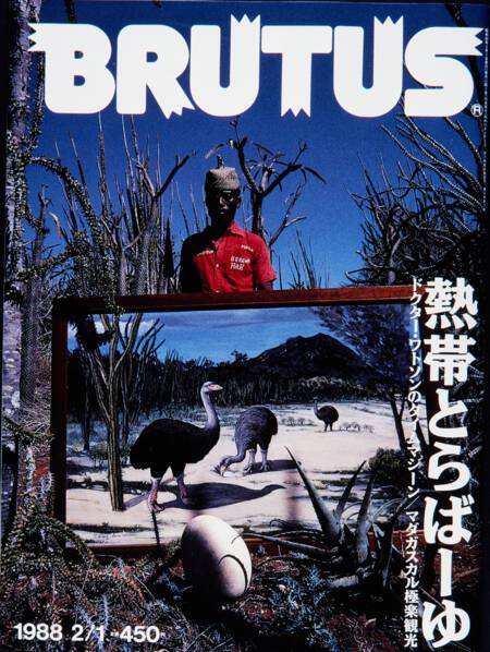 熱帯とらばーゆ