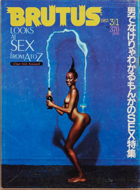 男でなけりゃわかるもんかのSEX特集