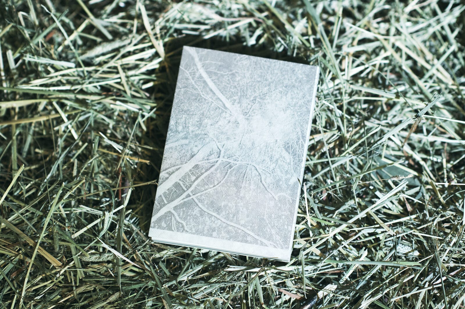 折坂悠太が初著書『薮IN』を刊行。ただ、薮をそこに置いてみたかった