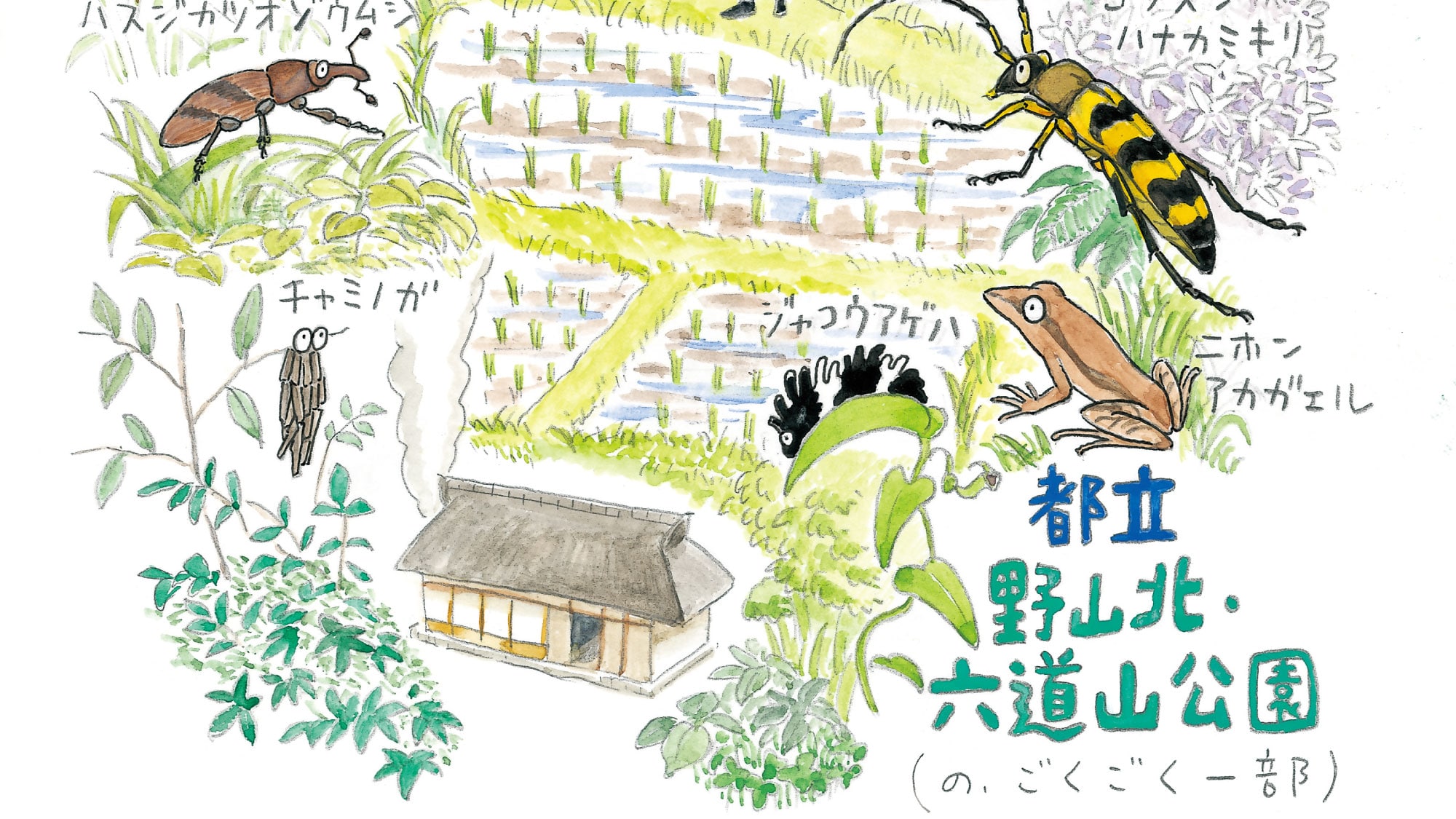 昆虫観察記。六道山公園の広大な森に潜む、 虫たちのミラクルワールド