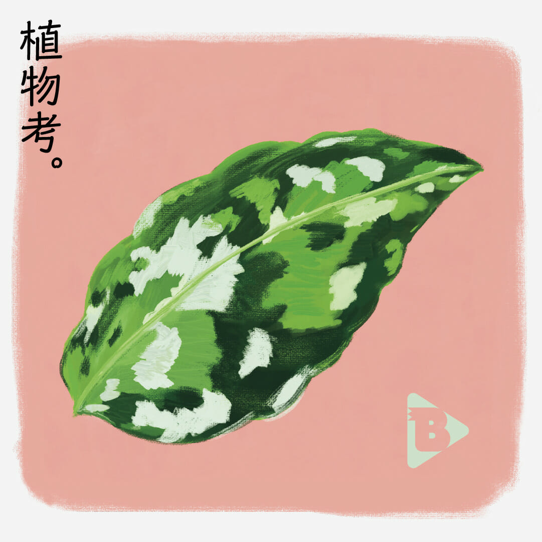 デイリーブルータス 339 植物考。