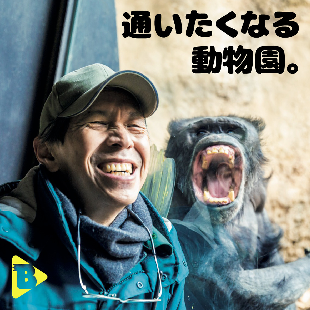 347 デイリーブルータス 通いたくなる動物園。