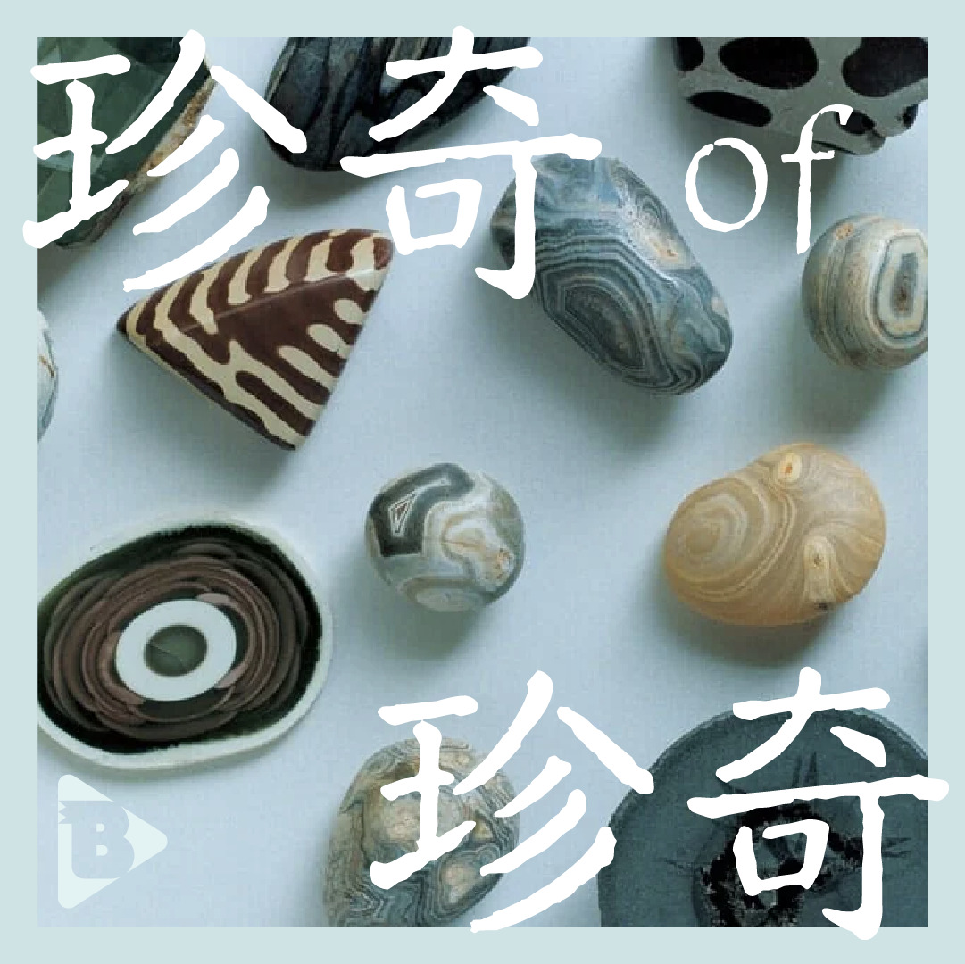 デイリーブルータス 349 珍奇 of 珍奇