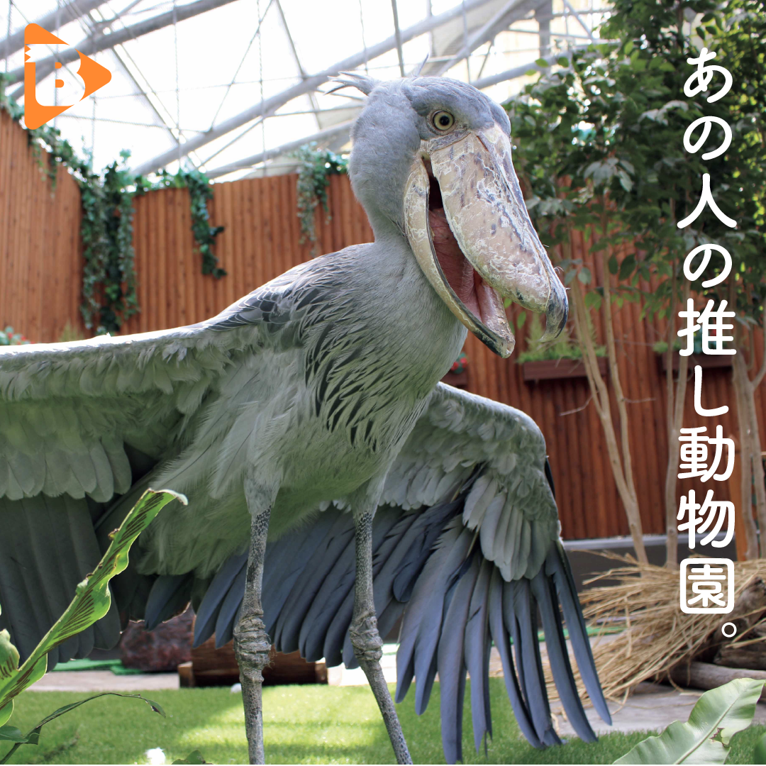 351 あの人の推し動物園。