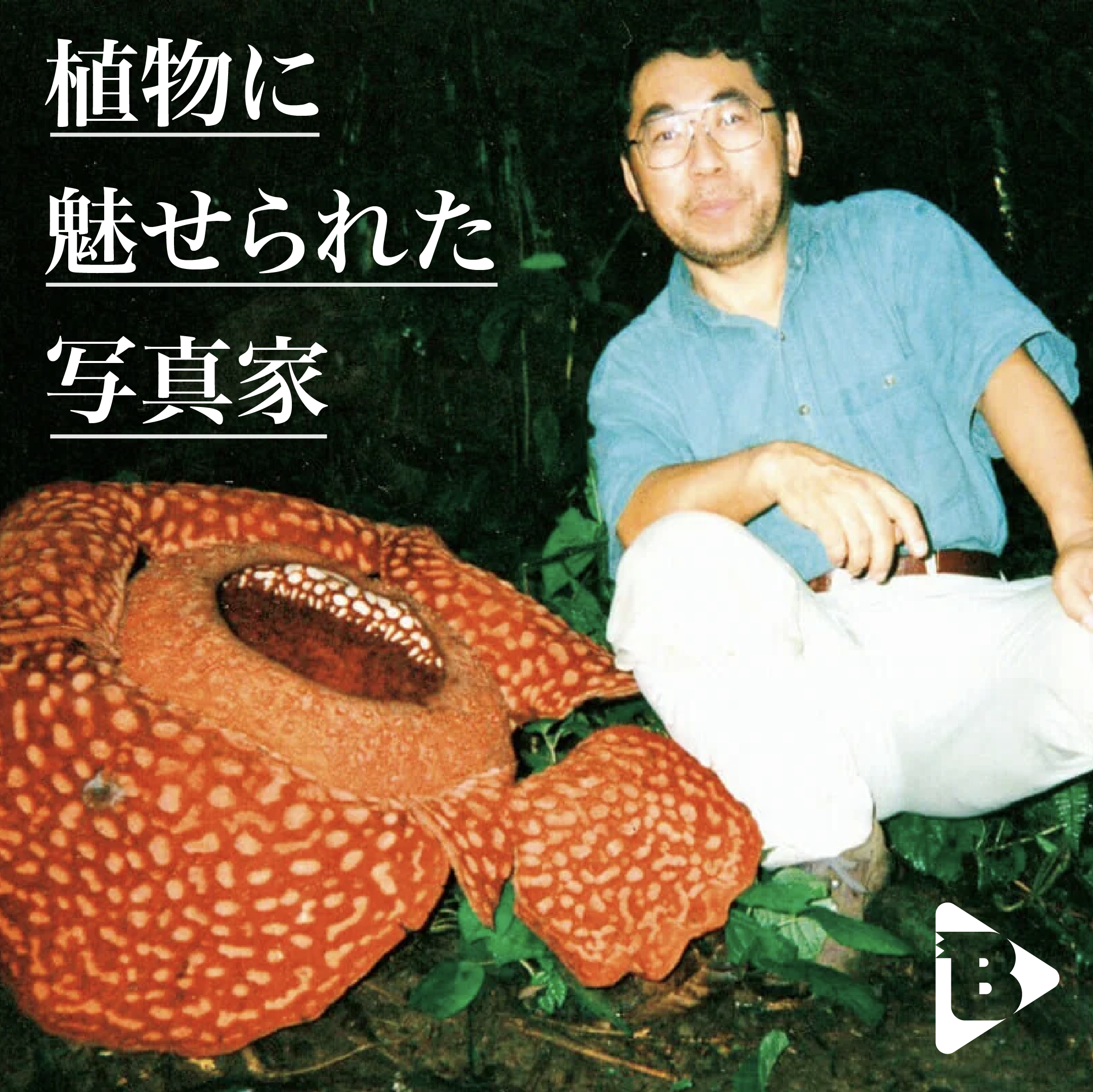 デイリーブルータス 358 植物に魅せられた写真家