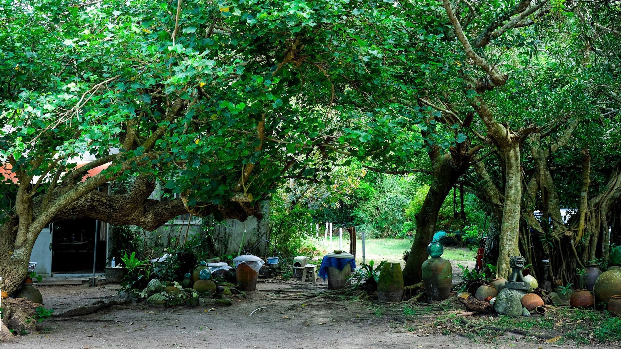 途絶えかけた島の伝統を次世代へ。沖縄県・西表島〈紅露工房〉の石垣