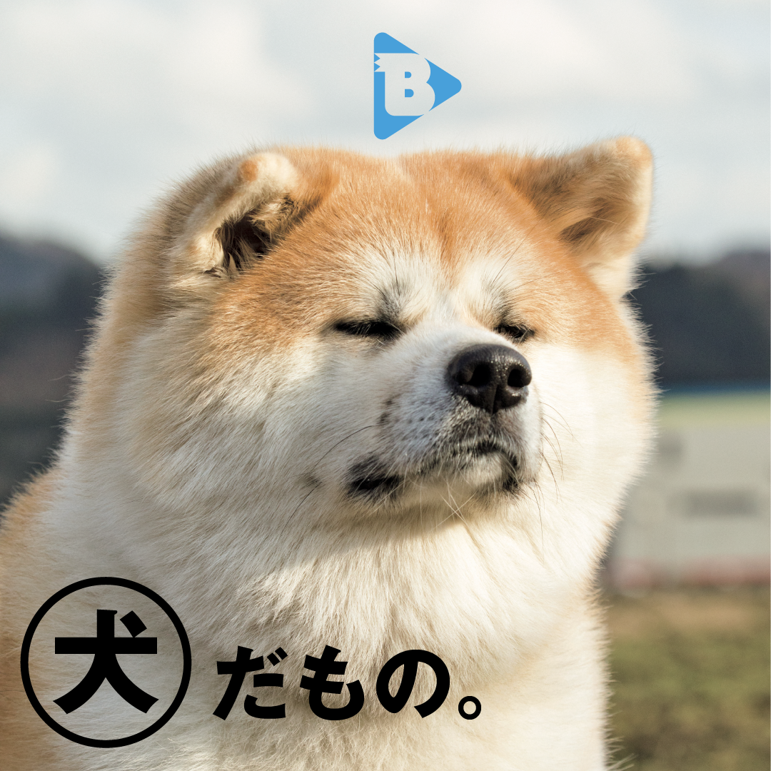 デイリーブルータス 375 犬だもの。