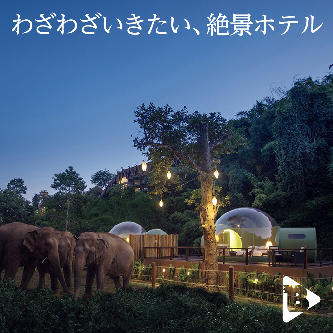 デイリーブルータス 379 わざわざいきたい、絶景ホテル