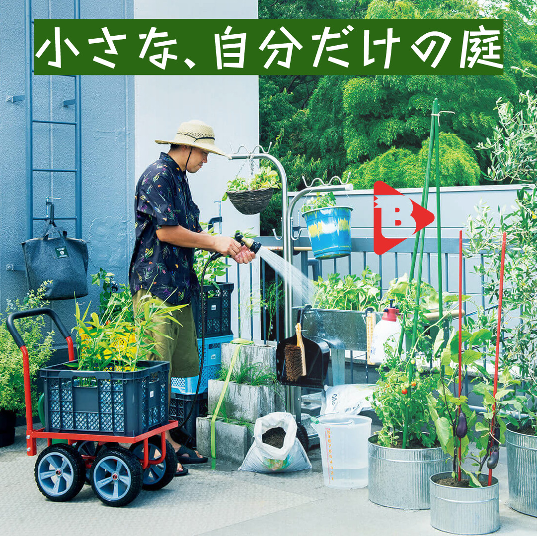 デイリーブルータス 小さな、自分だけの庭