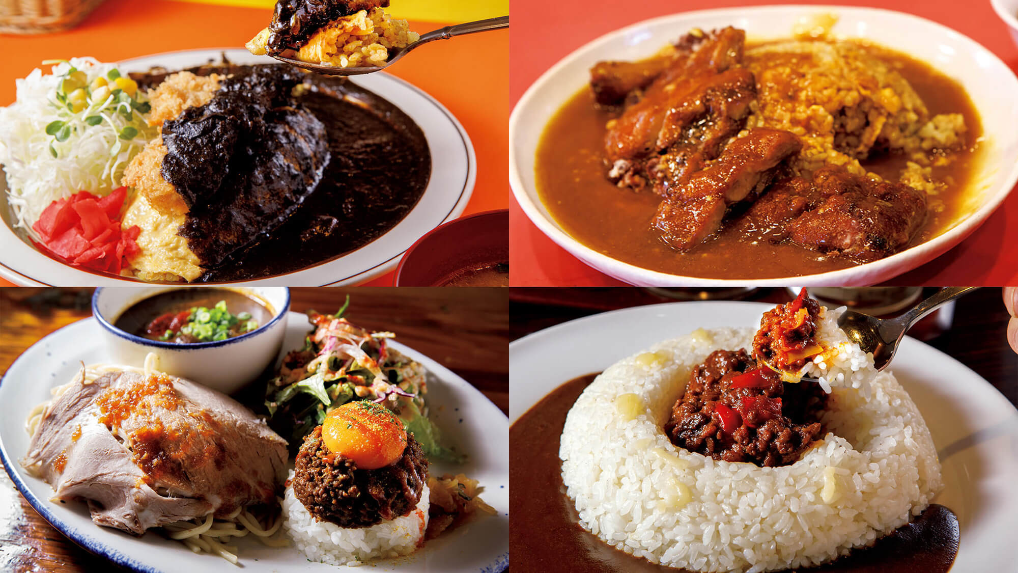 進化するドライ＆ウェットの合いがけカレー8選 〜後編