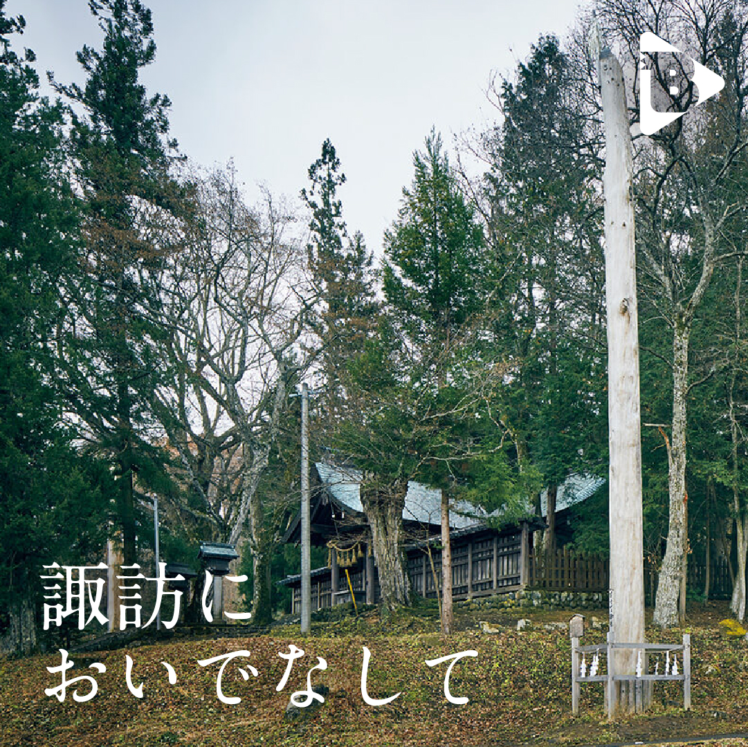 デイリーブルータス 諏訪においでなして