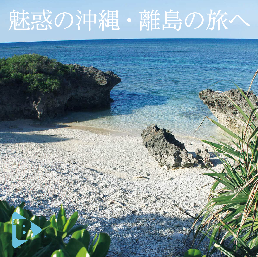 デイリーブルータス_魅惑の沖縄・離島の旅へ