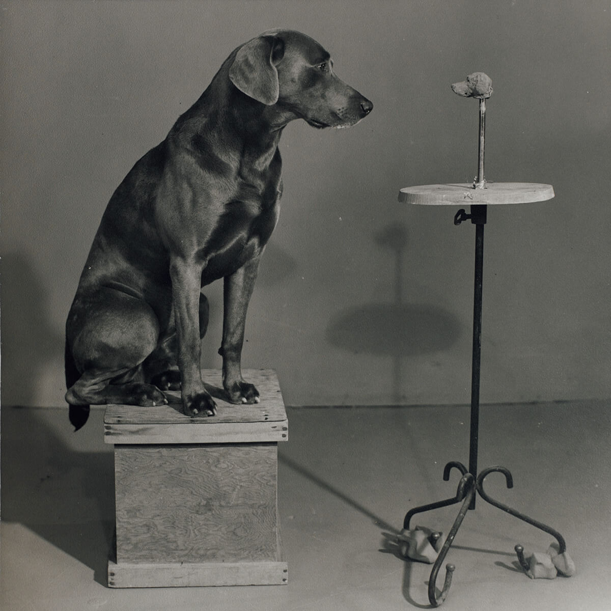 ウィリアム・ウェグマン作「Man Ray Contemplating the Bust of Man Ray」
