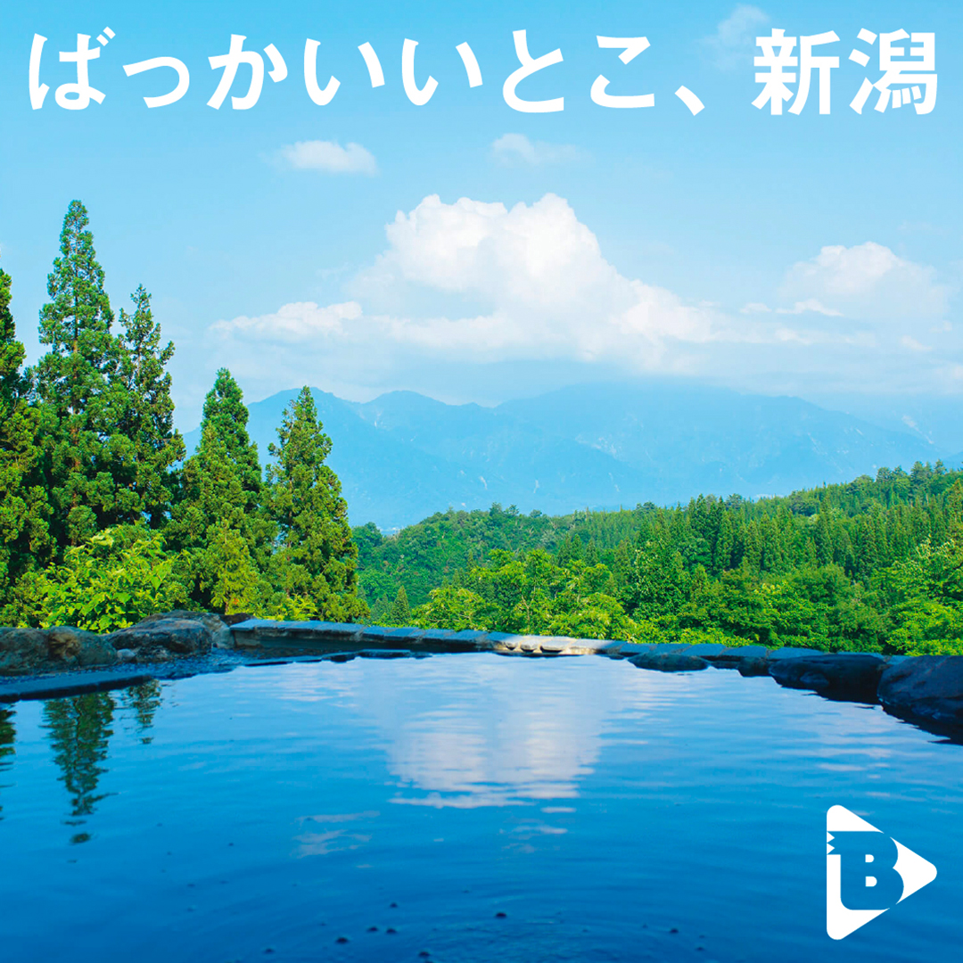 デイリーブルータス_ばっかいいとこ、新潟