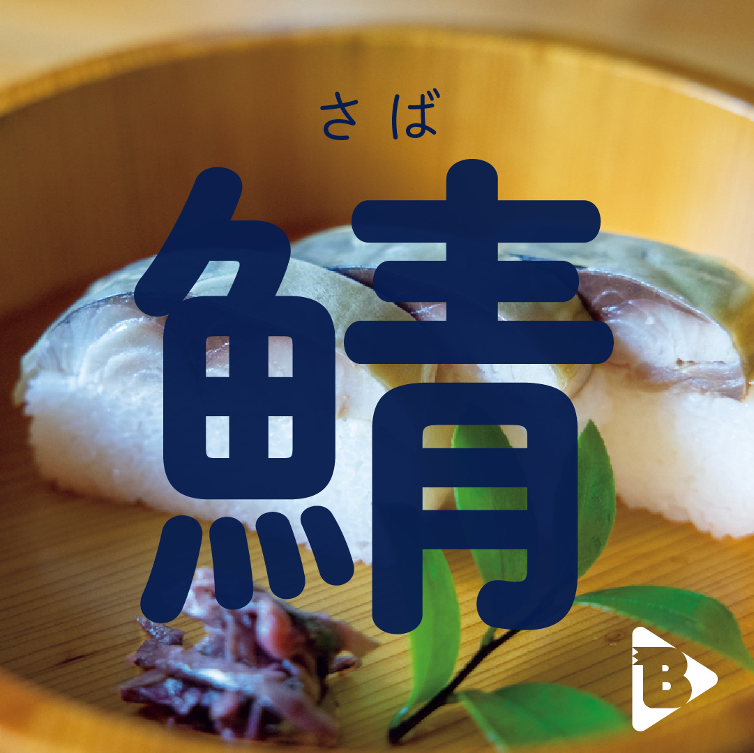 デイリーブルータス_鯖