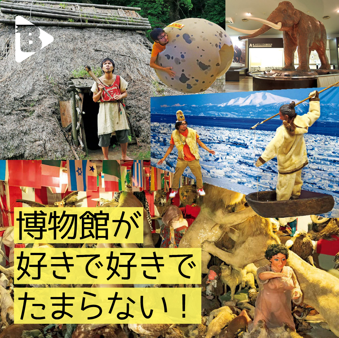 デイリーブルータス_博物館が好きで好きでたまらない！