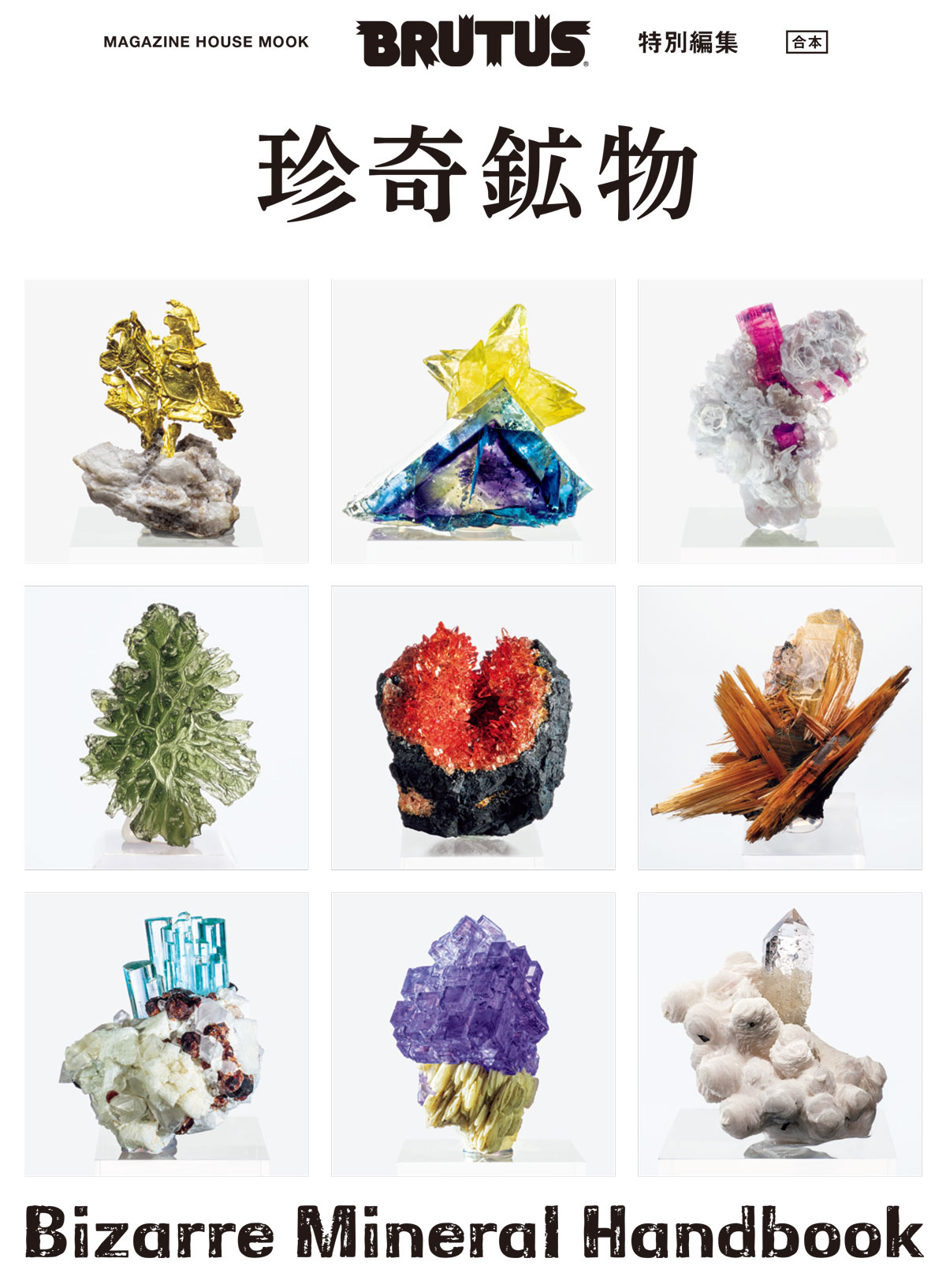 BRUTUS特別編集 合本 珍奇鉱物