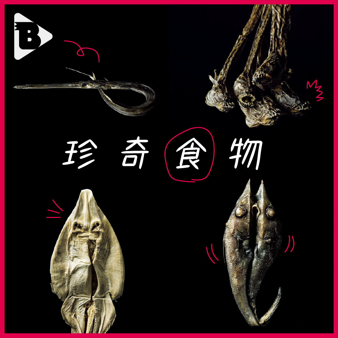 デイリーブルータス_珍奇 食 物