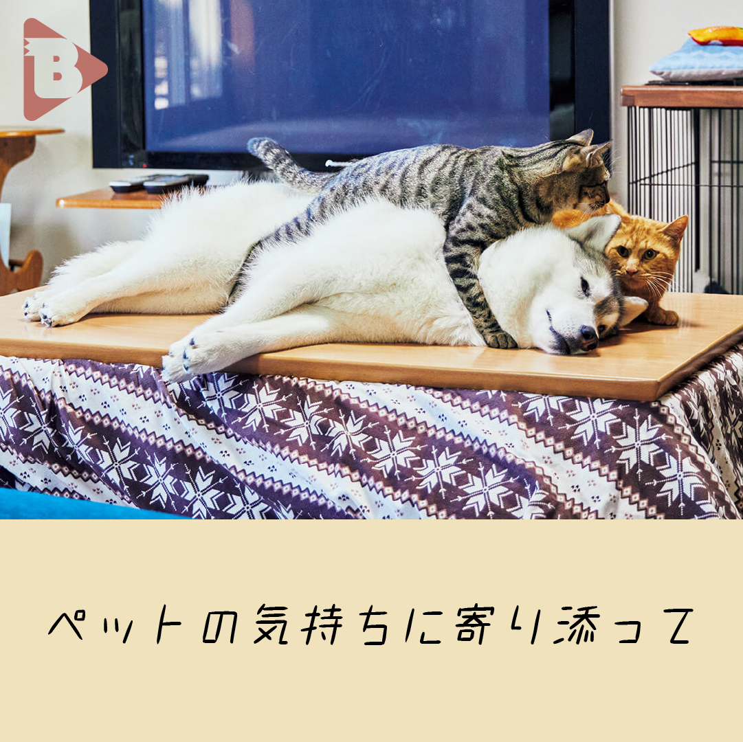 デイリーブルータス_ペットの気持ちに寄り添って