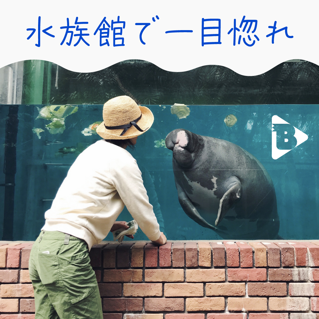 デイリーブルータス_水族館で一目惚れ