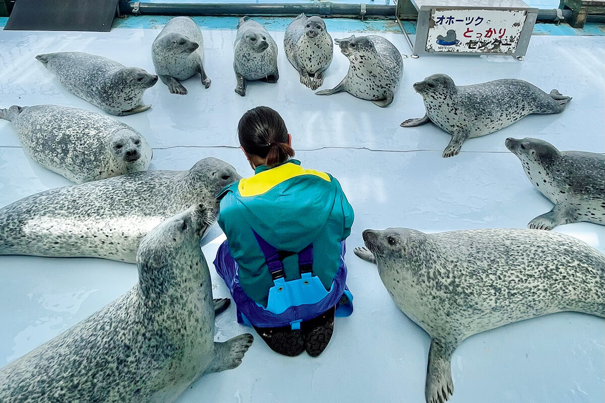 北海道〈オホーツクとっかりセンター〉