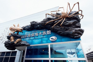 静岡〈沼津港深海水族館〉外観
