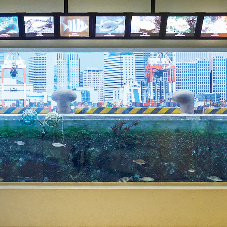 東京〈しながわ水族館〉の〈品川と海〉コーナー