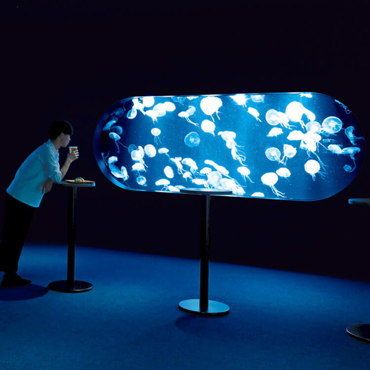「魚を見る」だけじゃない楽しみ方がある！これからの都市型水族館2選