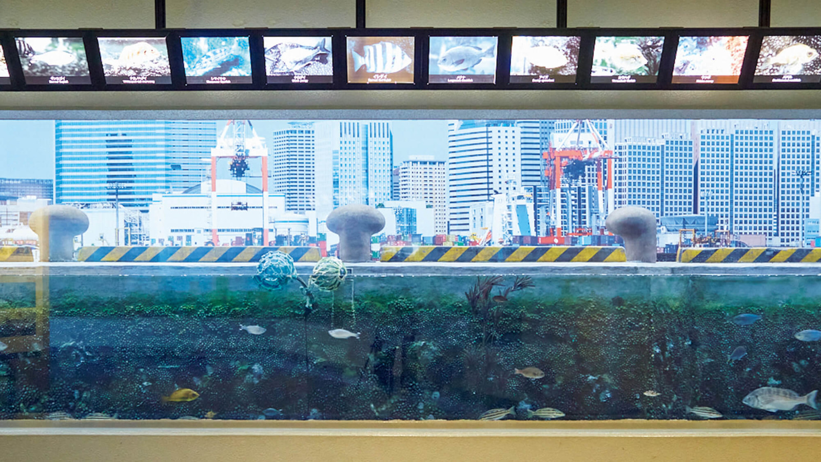 東京〈しながわ水族館〉の〈品川と海〉コーナー