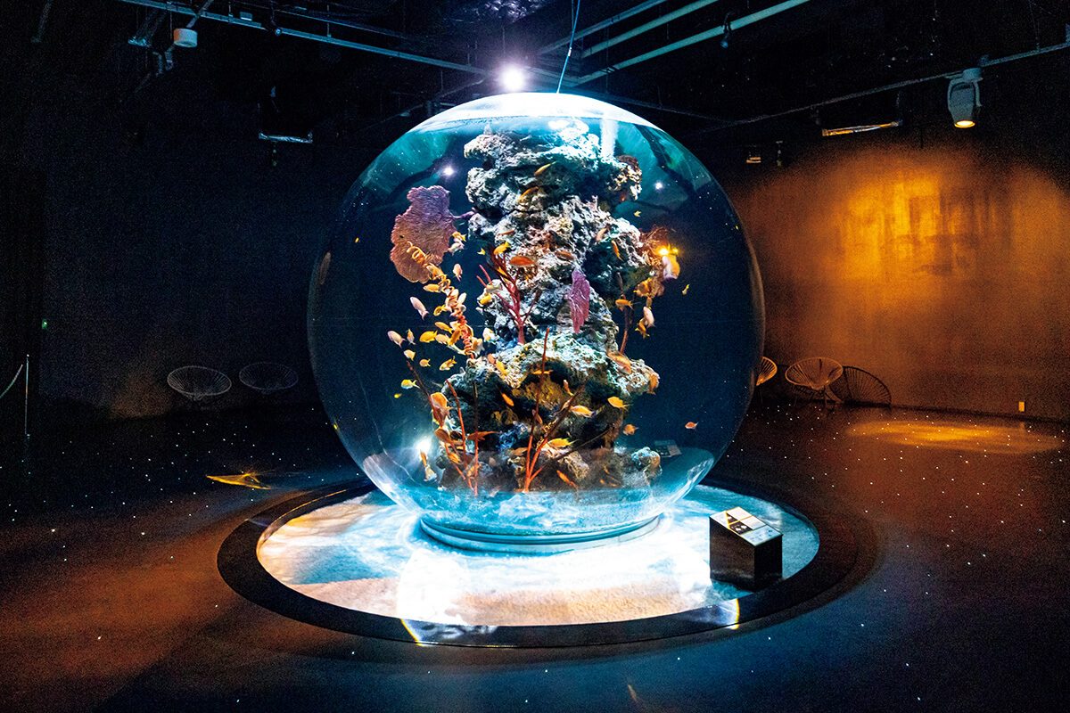 兵庫〈AQUARIUM×ART átoa〉PLANETS 奇跡の惑星の水槽