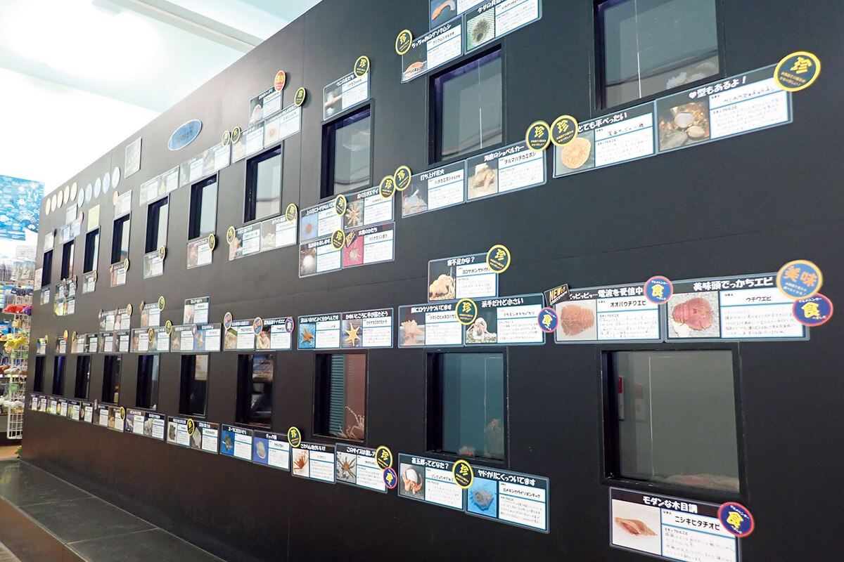 愛知〈竹島水族館市〉館内