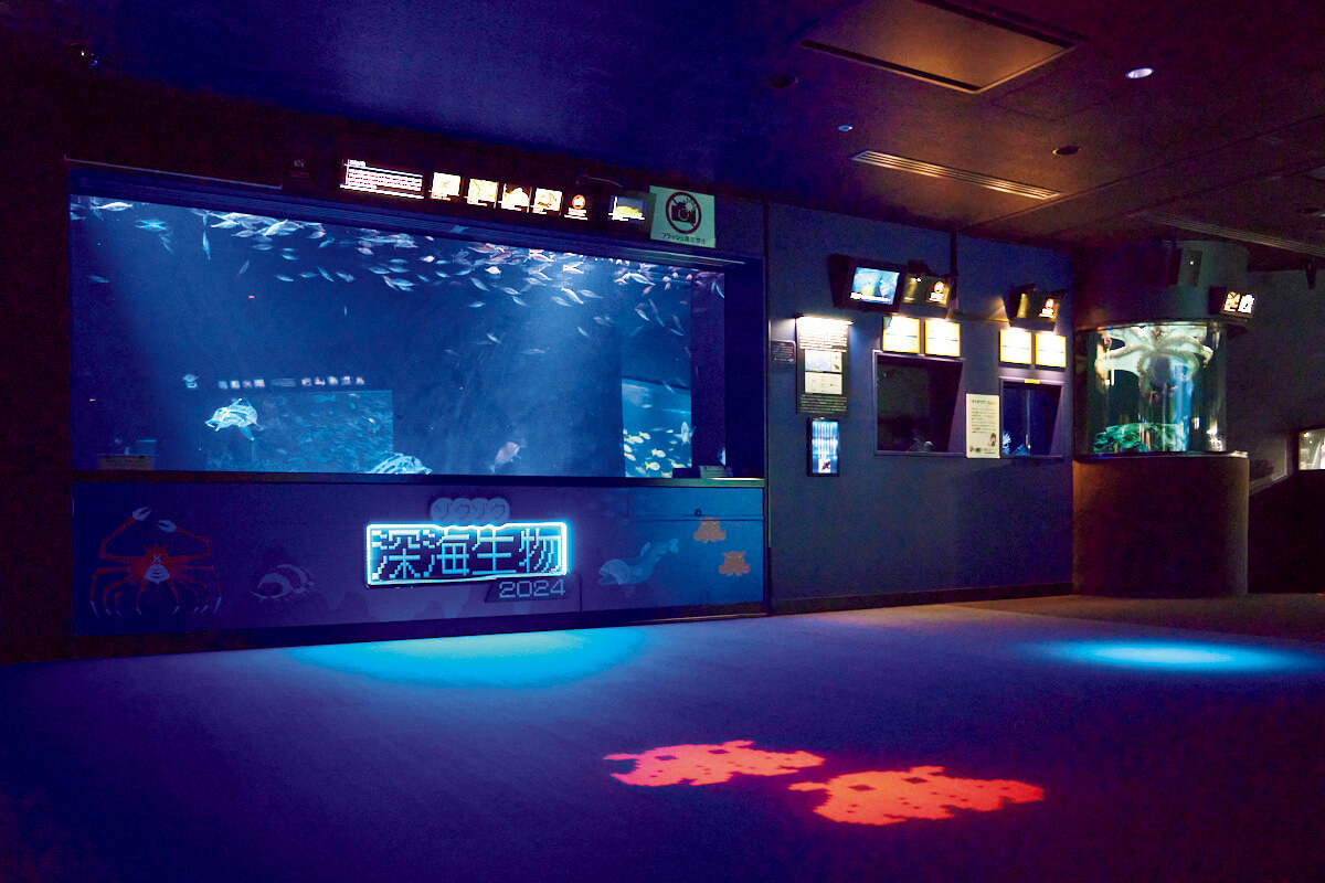 東京〈サンシャイン水族館〉館内