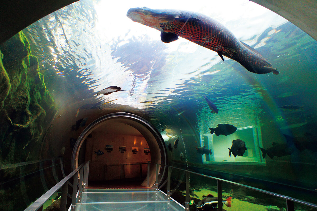 栃木〈なかがわ水遊園〉館内