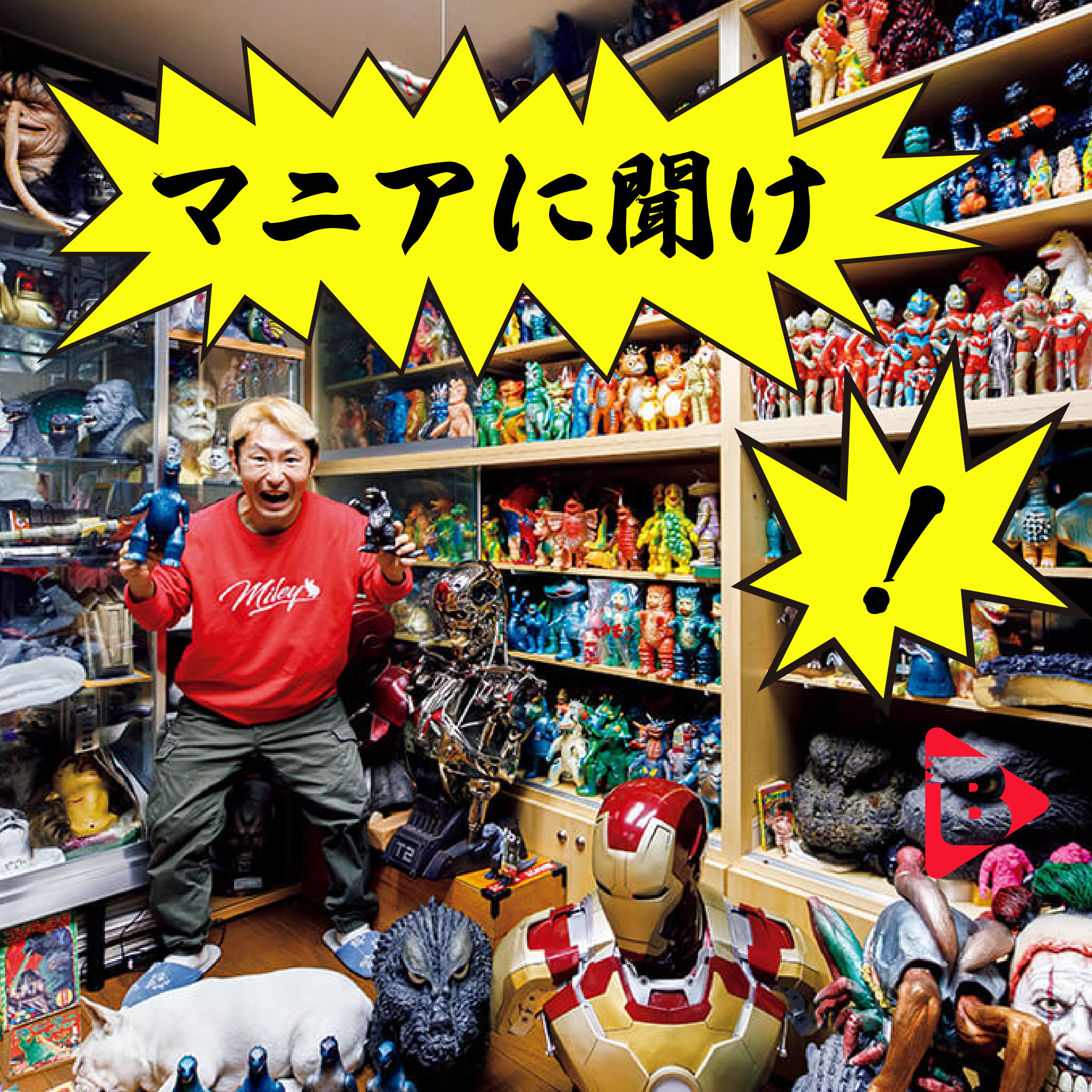 デイリーブルータス_マニアに聞け！