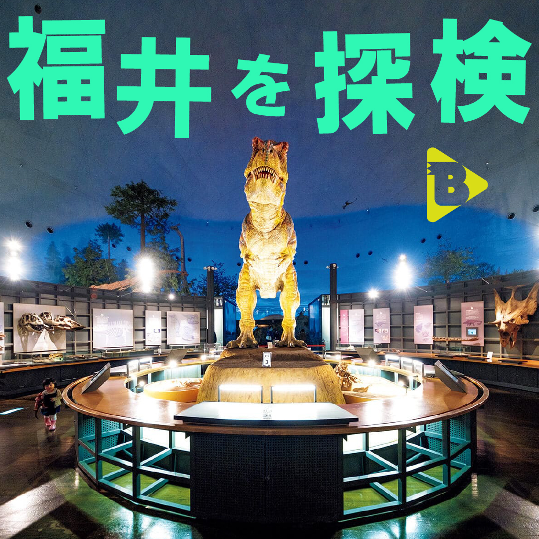 デイリーブルータス_福井を探検