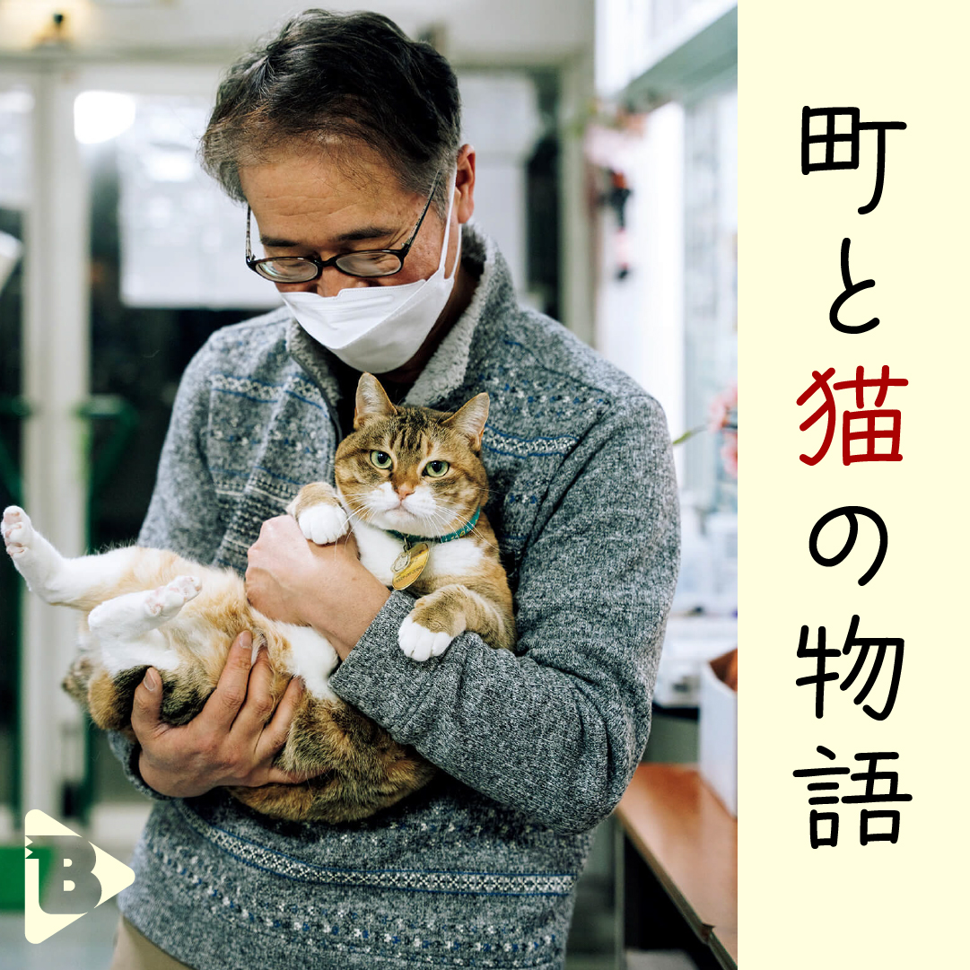 デイリーブルータス_町と猫の物語