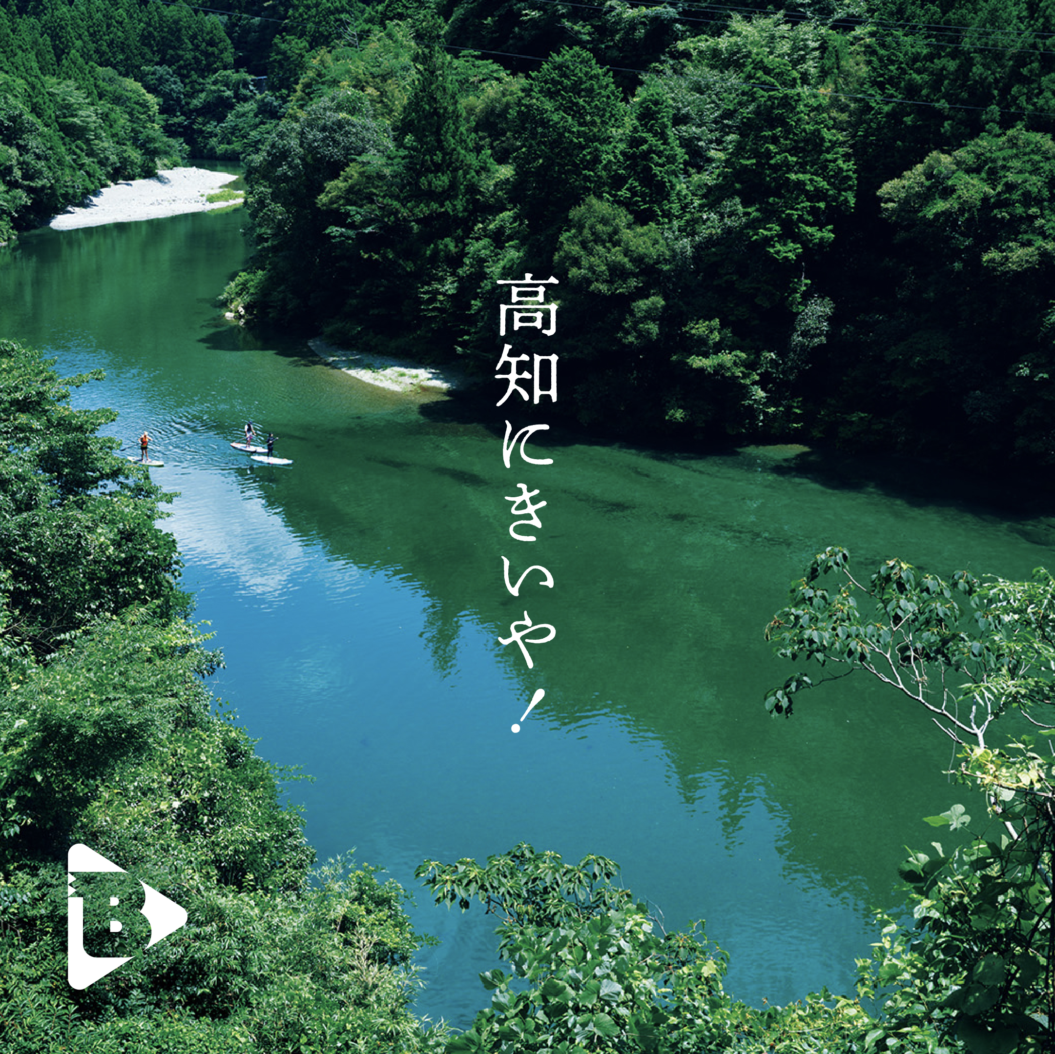 デイリーブルータス_高知にきいや！