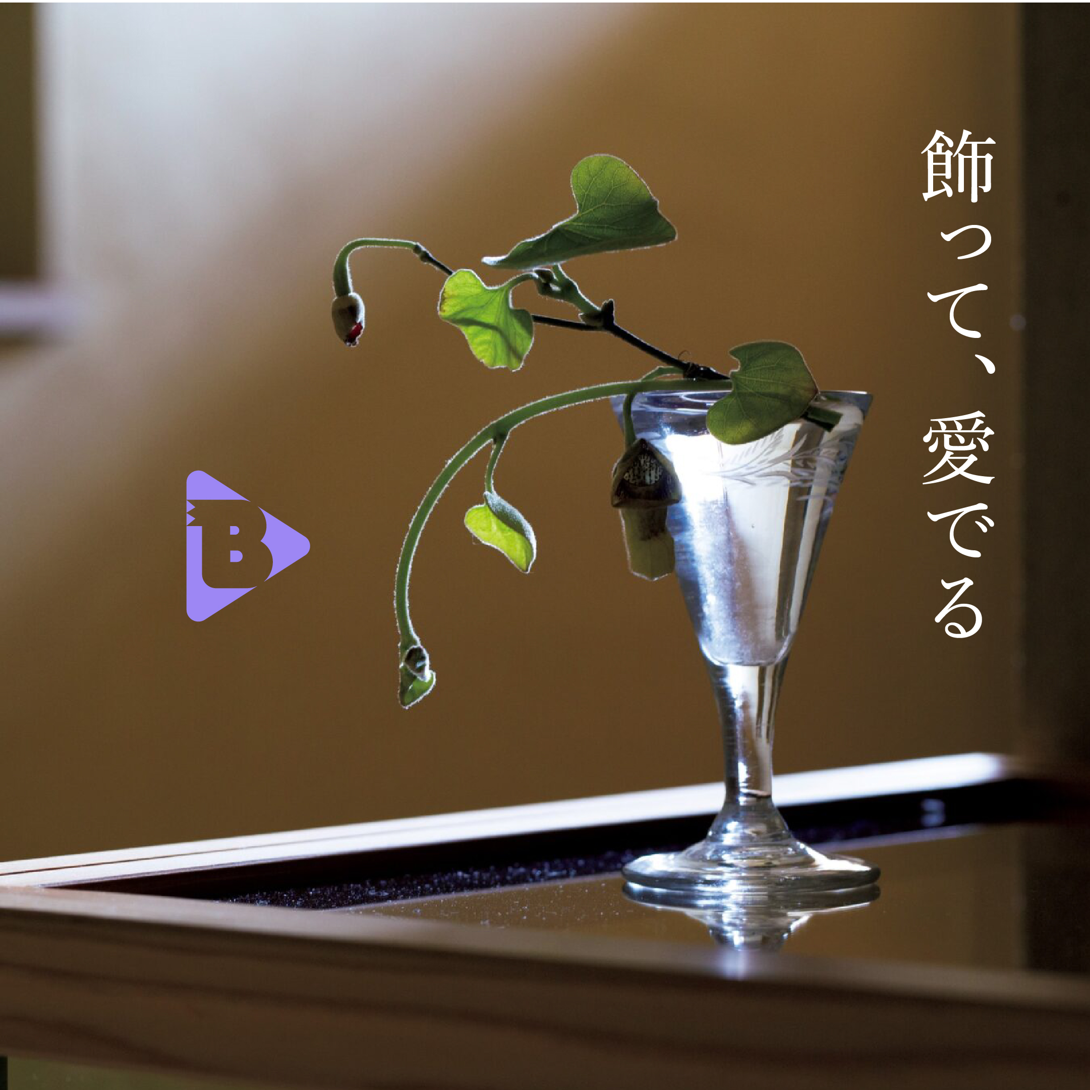 デイリーブルータス_飾って、愛でる