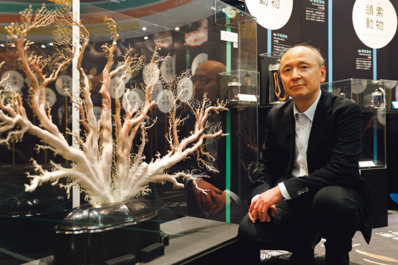 背骨を持たない生物たちはどう生きている?『知られざる海生無脊椎動物の世界』展が開催中 | ブルータス| BRUTUS.jp