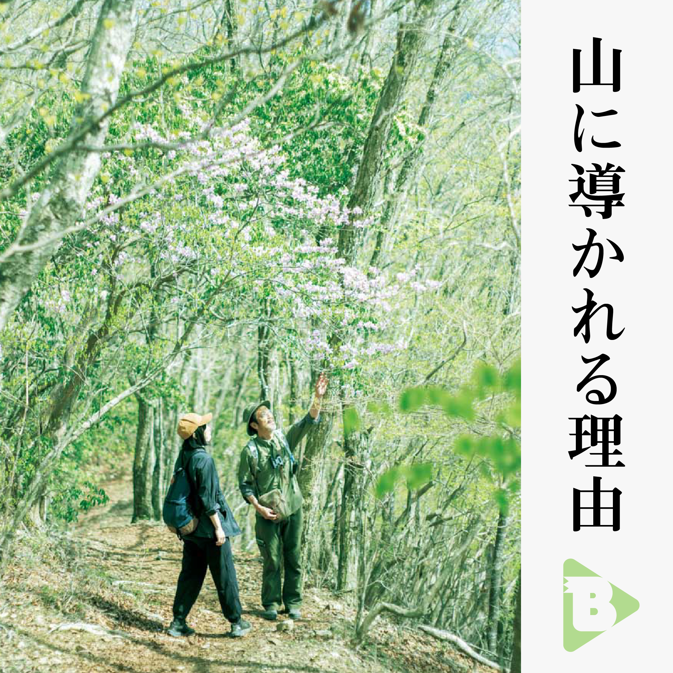 デイリーブルータス_山に導かれる理由