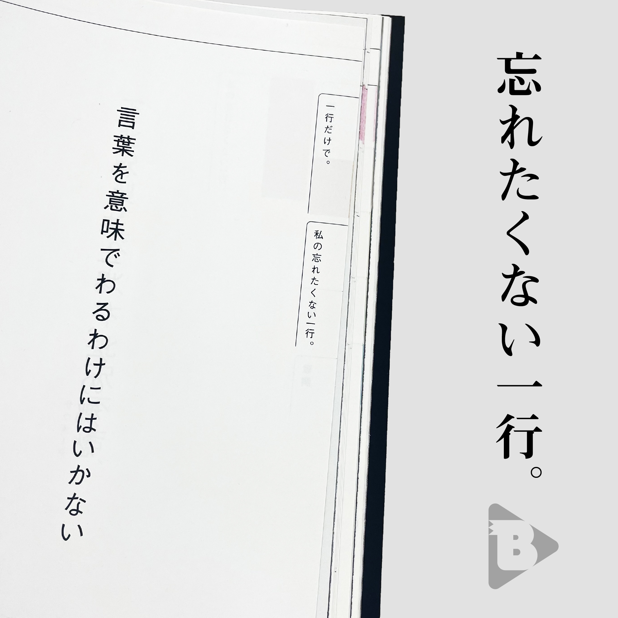 デイリーブルータス_忘れたくない一行。