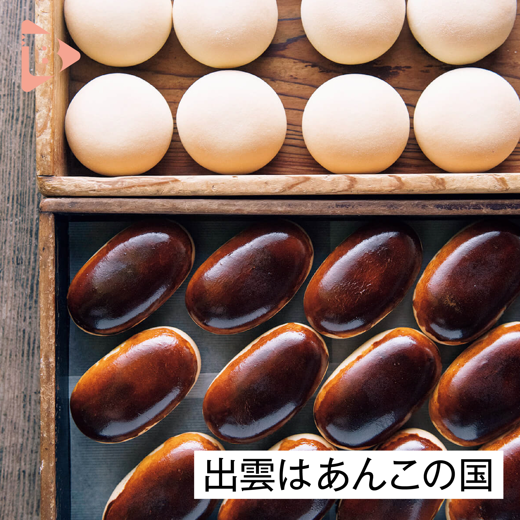 デイリーブルータス_出雲はあんこの国