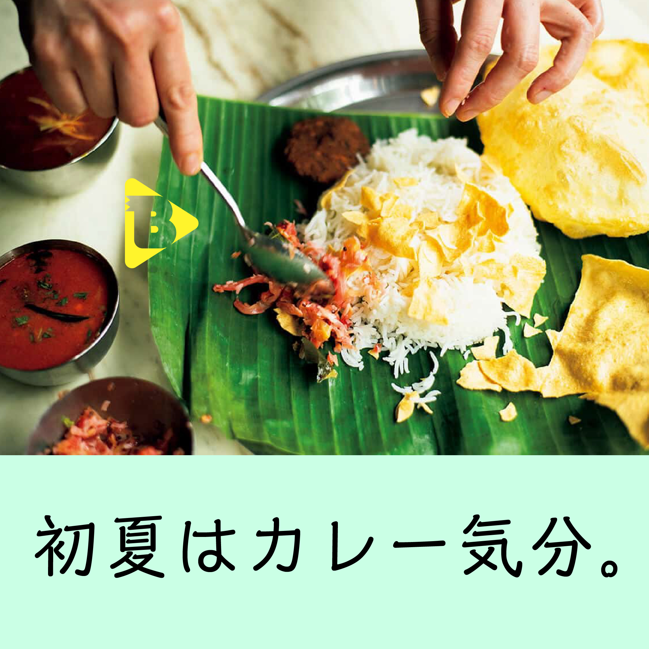 デイリーブルータス_初夏はカレー気分。