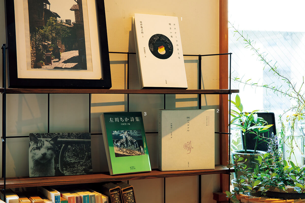 『カステーラのような明るい夜』尾形亀之助／著、『街のスタイル』衣巻省三／著、『左川ちか詩集』左川ちか／著