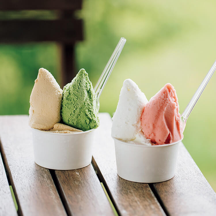 鹿児島〈GELATERIA CUORE〉ジェラート