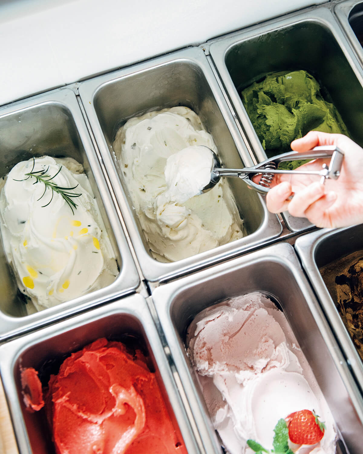 鳥取〈gelateria +×〉ショーケース