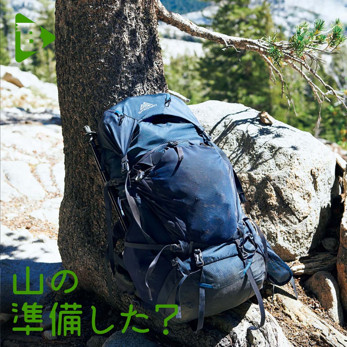 デイリーブルータス_山の準備した？